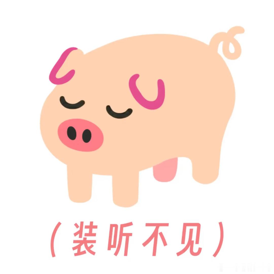 zws每天