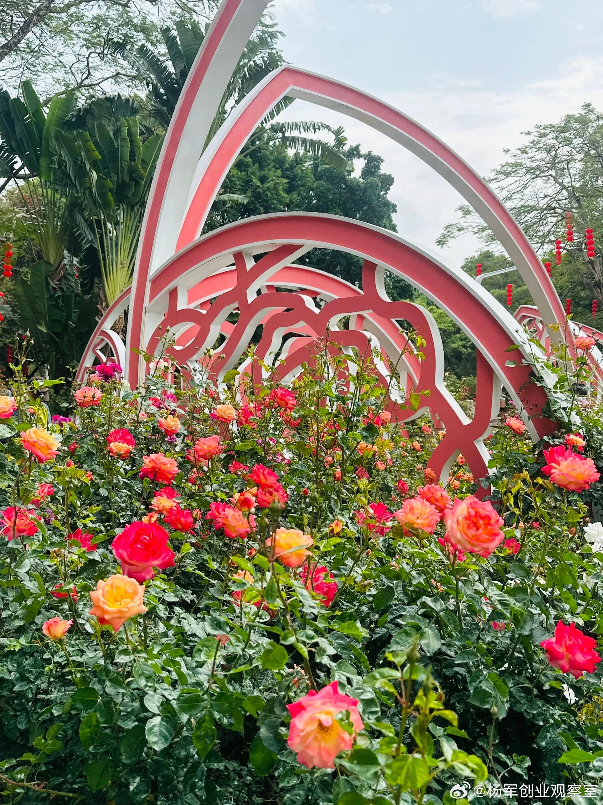 【股权价值发展：企业增长的“爬楼梯”与“坐电梯”】股权价值 = 股份数量 × 股