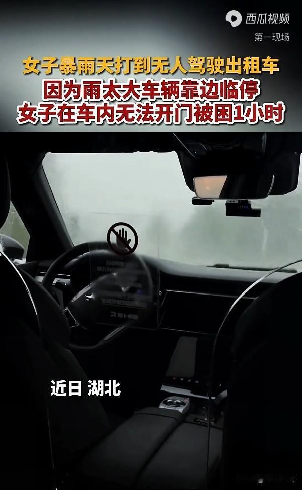 湖北一女子暴雨天打到无人驾驶出租车，因为雨势太大，无人驾驶出租车在路边停靠，结果