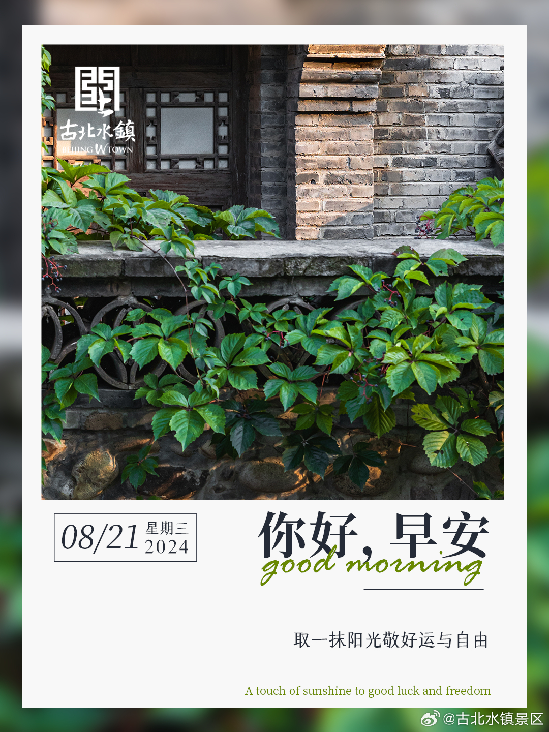 取一抹阳光敬好运与自由早安，宝子们~ #古北水镇光之城# ​​​