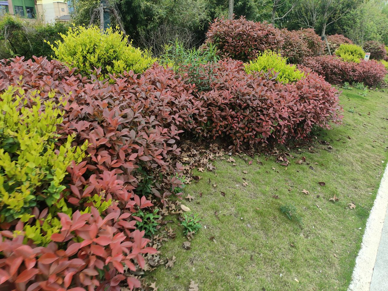 必须给肥西执法部门点个赞！头天反映的问题，第二天就解决了！
 
咱们肥西的老乡们