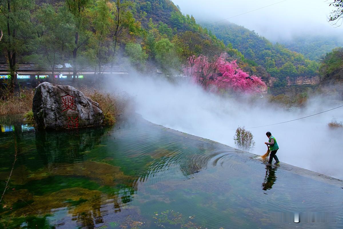 雾锁仙源浣翠流
        晨雾氤氲，轻纱漫卷于太行山谷。粉花灼灼，翠木依依