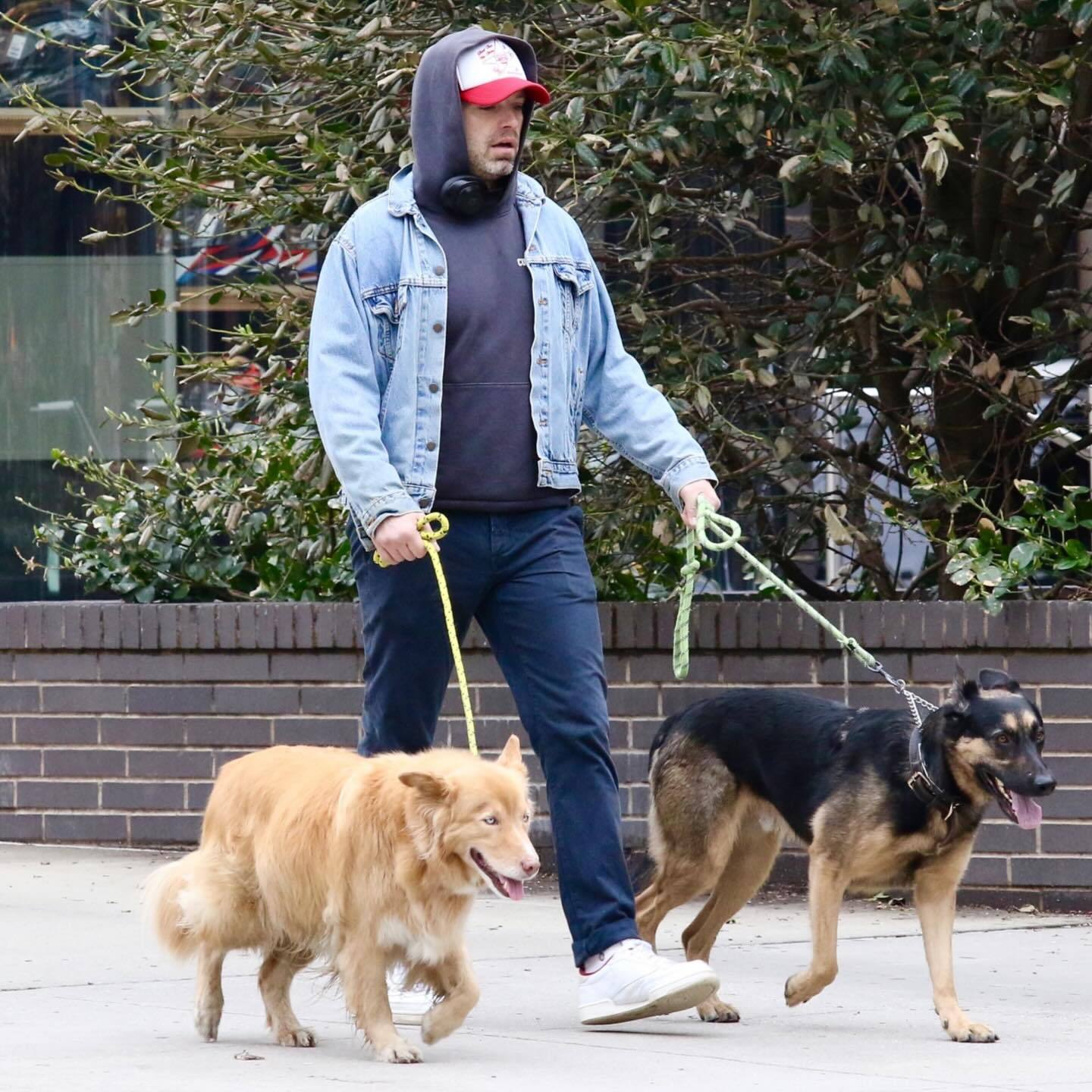 近日传喜讯的塞包牵着两只毛孩子外出压马路，厚衣遮肚，保暖相当到位。当然了粉丝们都