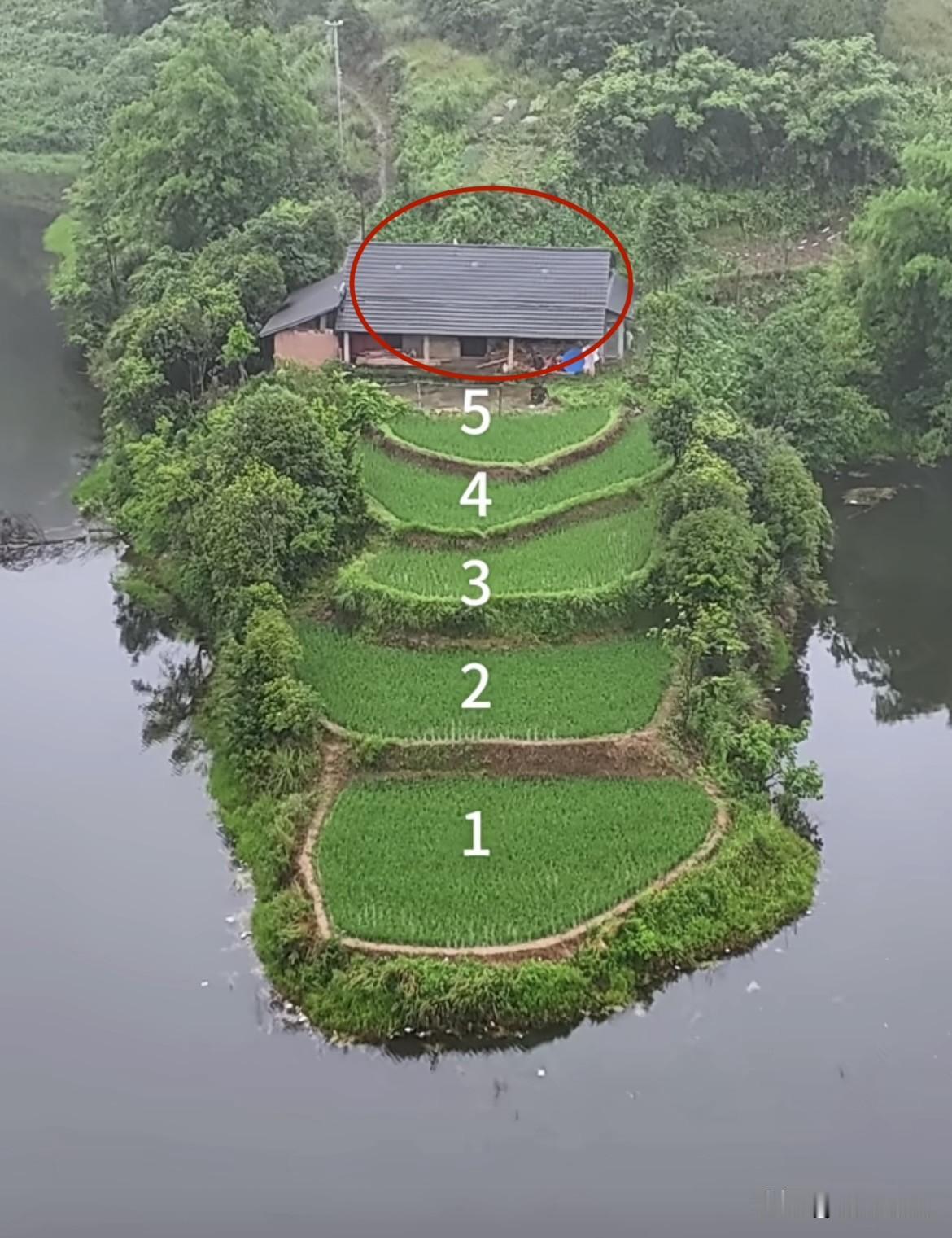 深山里的一户人家🏠三面环水，
房前就是五阶稻田，风景美如画，宛如现实版的世外桃