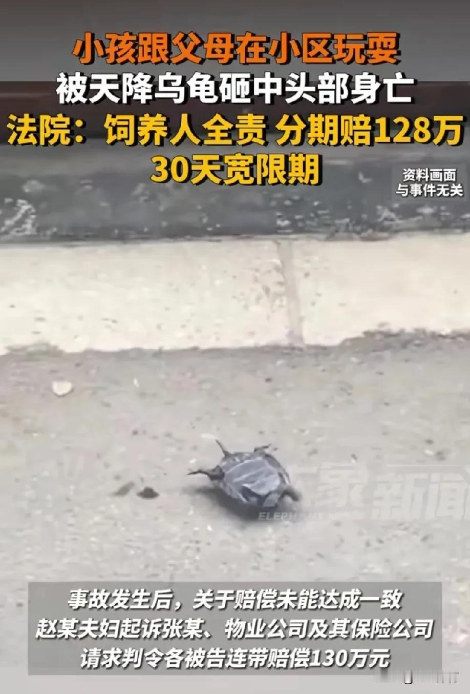 痛心！广东韶关，小孩和父母在小区玩耍，没想到祸从天降，被从天而降的乌龟砸中头部身