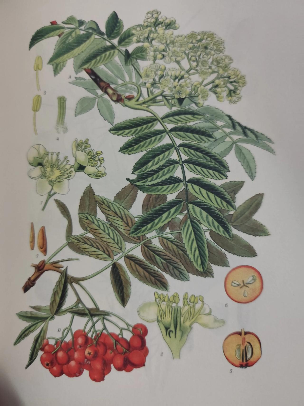 香港教育的问题，更多在于学校本身，学生有恃无恐的参与港独搞打砸，甚至于威胁学校和