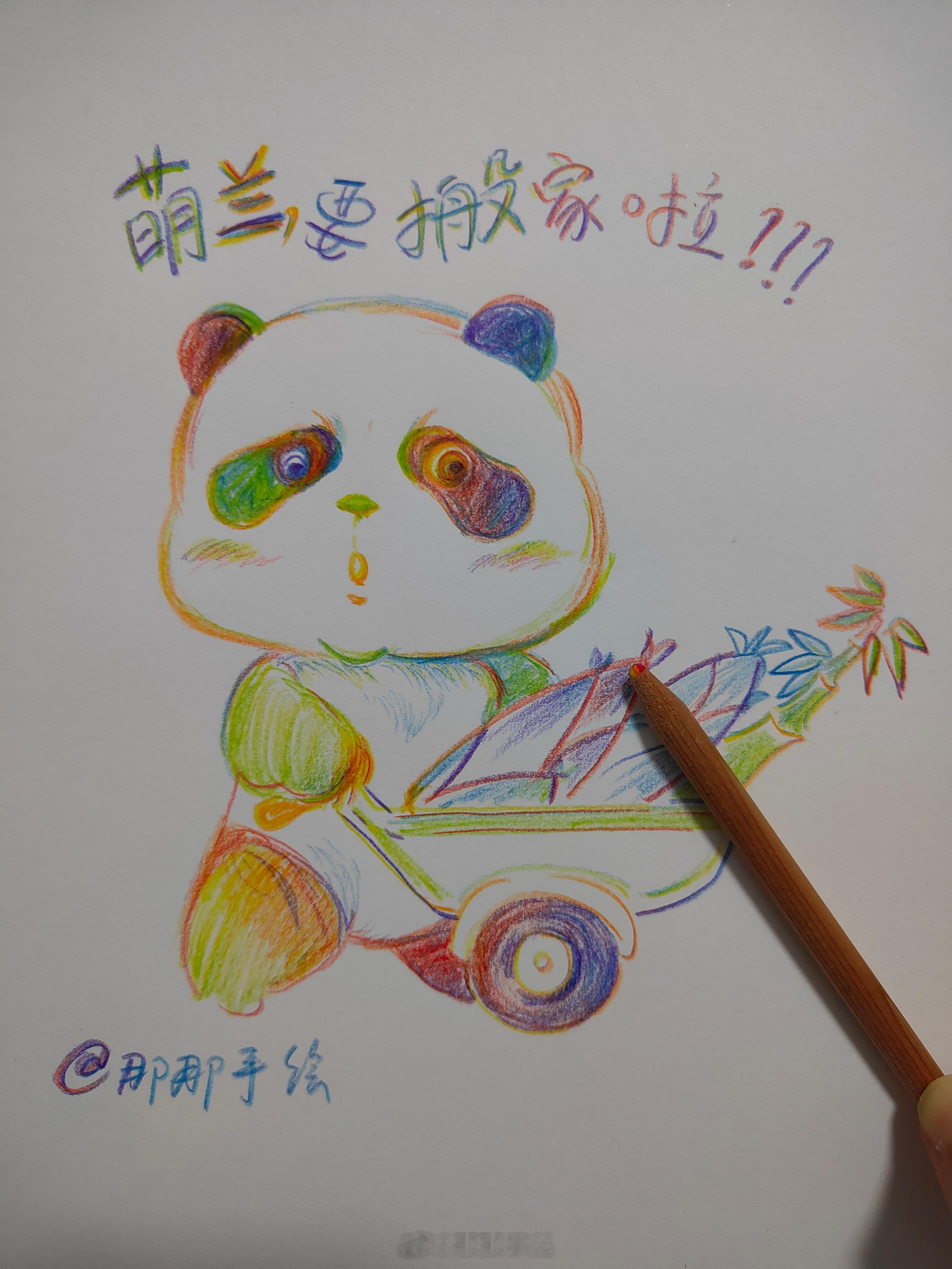大熊猫萌兰 近日有点忙，得知大熊猫萌兰要搬新家了，很期待，所以今天趁新到一支彩虹