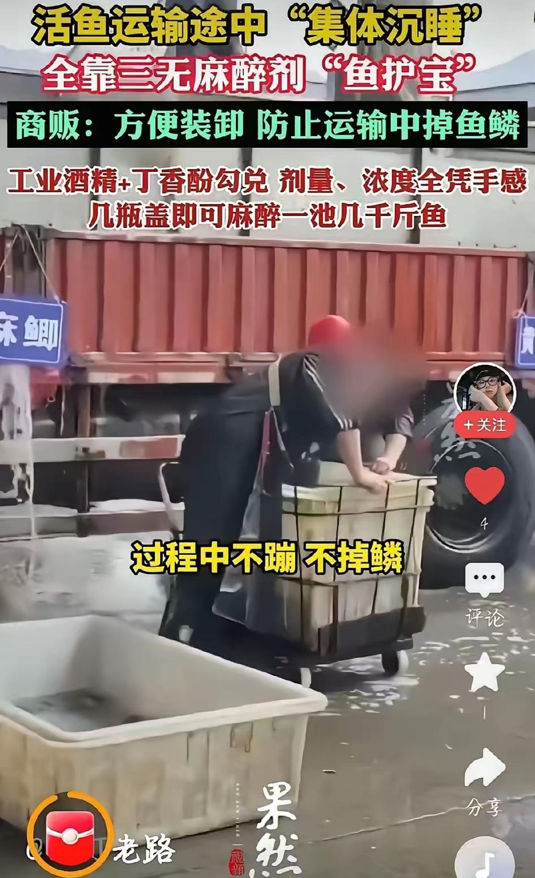 吃鱼的，估计想掀桌的心都有了！
重庆、山东、安徽的水产市场里，商贩往鱼桶加瓶“鱼