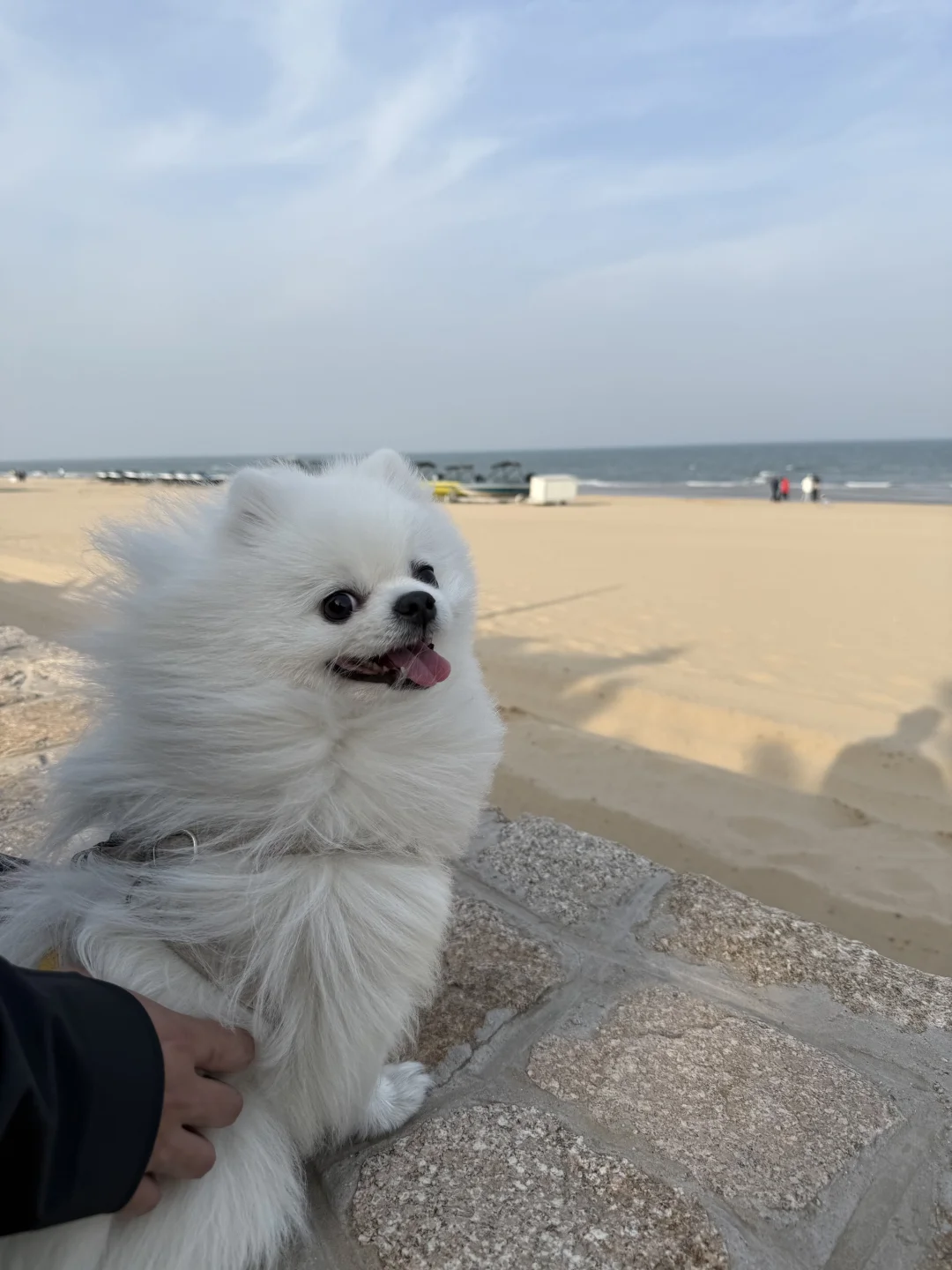 小狗疑问，到底什么是镜头？？
