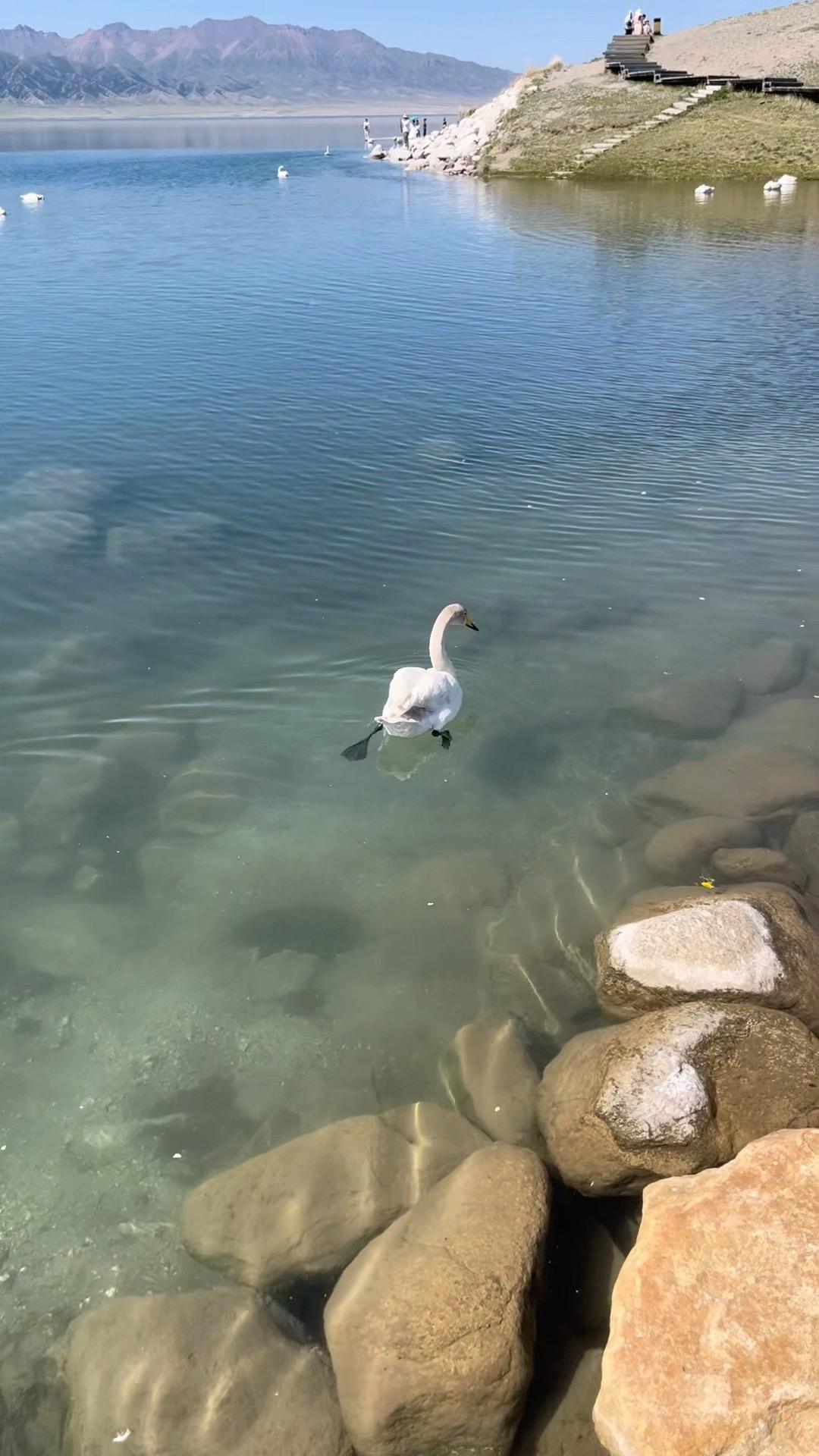 磅礴的生命力是宇宙最深厚的祝福  我们所有人都来自于遥远的星辰 来自于...