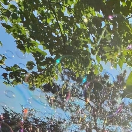 掉落深井，我大声呼喊，等待救援……天黑了，黯然低头，才发现水面满是闪烁的星光。我