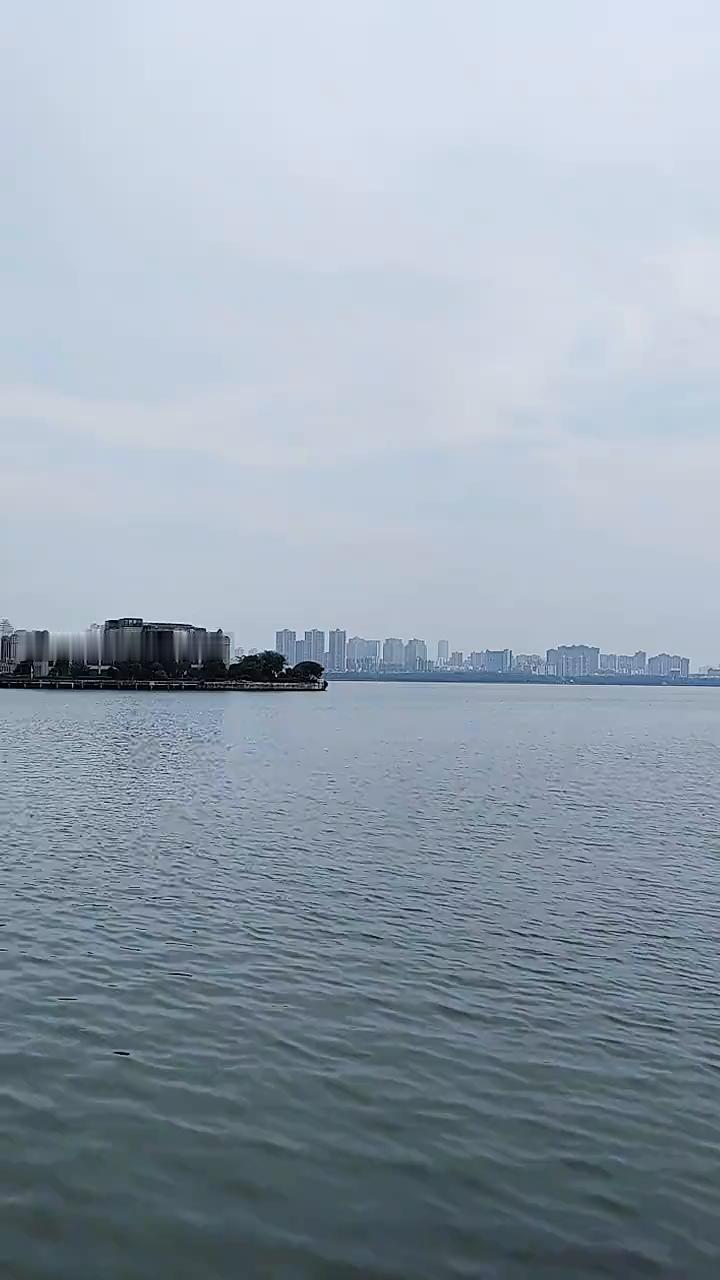 江西省城市名单：地级市11座。
南昌、九江、景德镇、萍乡、新余。