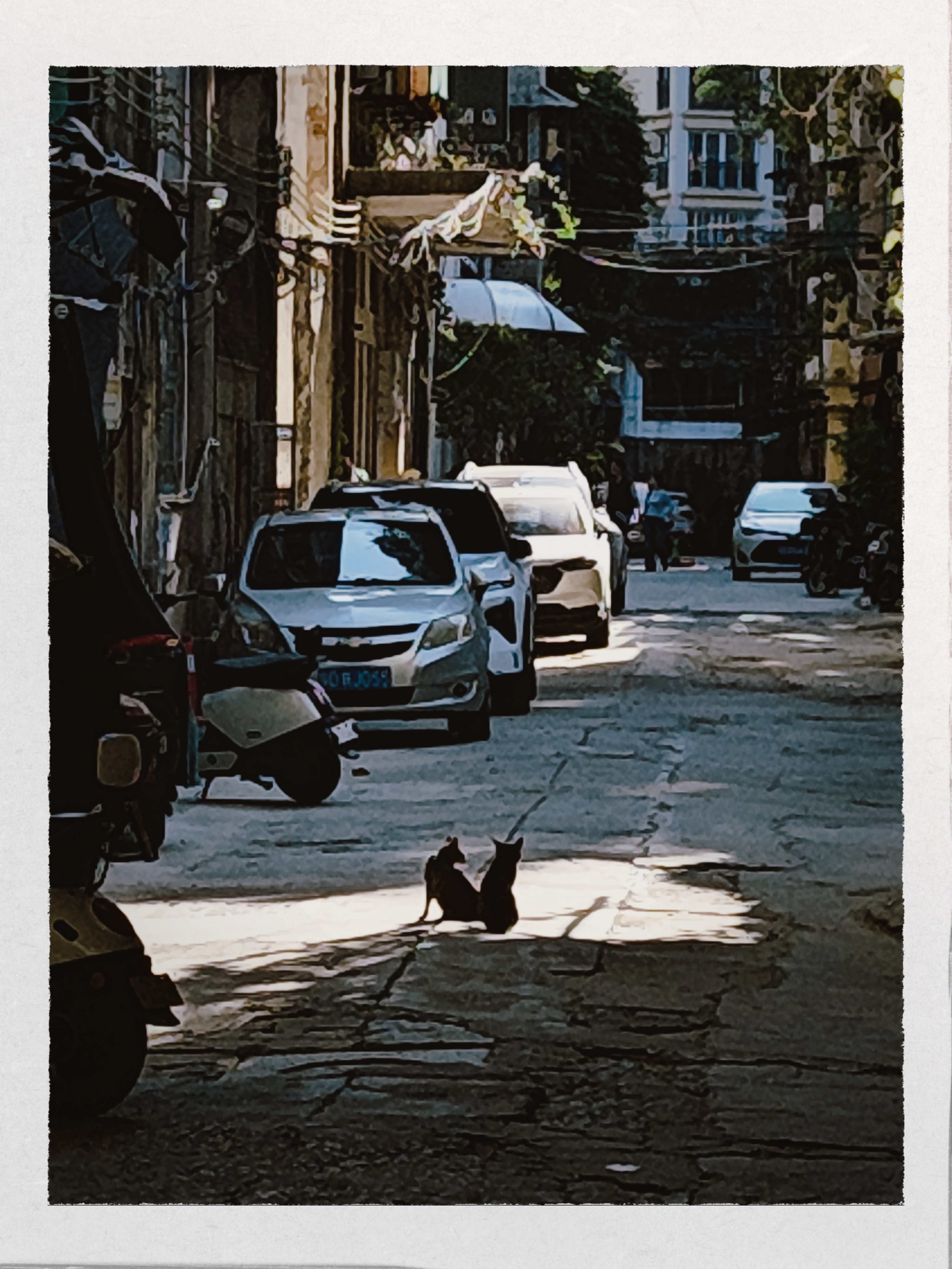 站这街头有种小时候对着巷子码头喊: 妈，我回来了的味道！我的日常plog扫街 汕