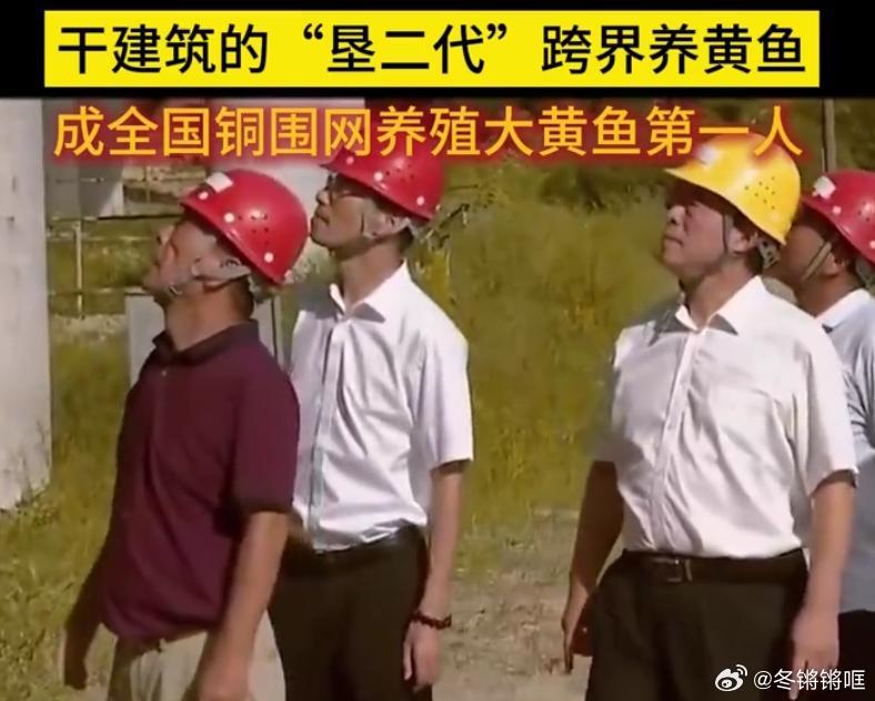 垦二代跨界养黄鱼养出 10 亿大产业大陈岛垦二代陈招德跨界创业，从零钻研大黄鱼养