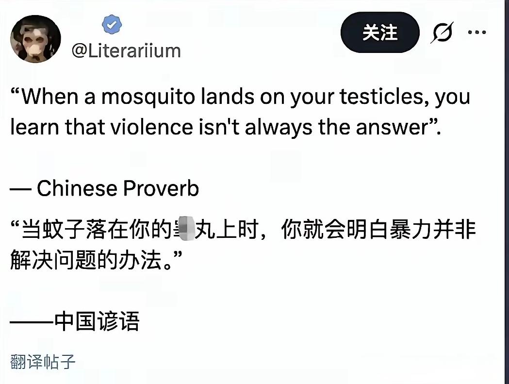 “当蚊子落在你睾丸上时，你就会明白暴力并非解决问题的办法。”
中国有这样的谚语吗