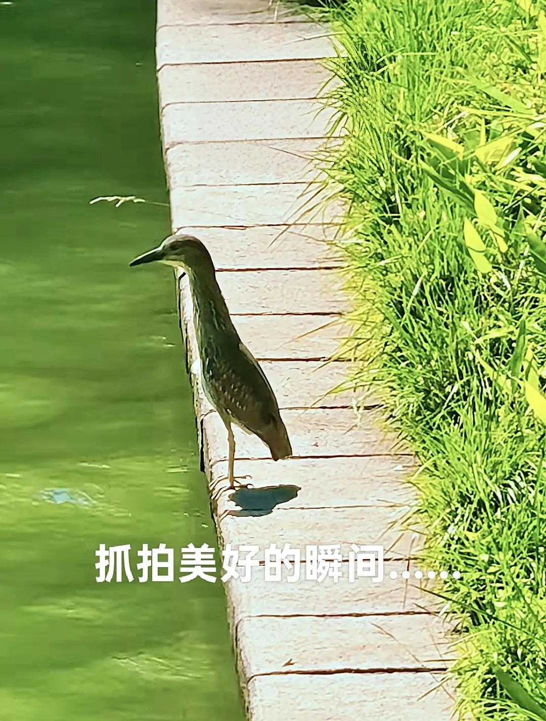 每日三醒❤️利可共而不可独谋可寡而不可众独利则败，众谋则泄