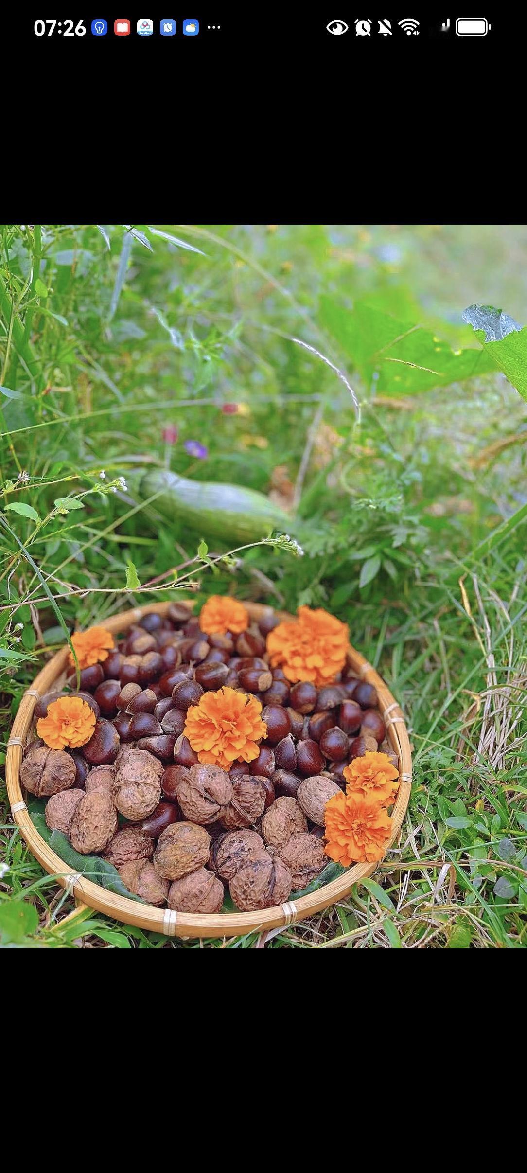 上联:勤勤恳恳种菜，求下联下联：喜喜欢欢收瓜