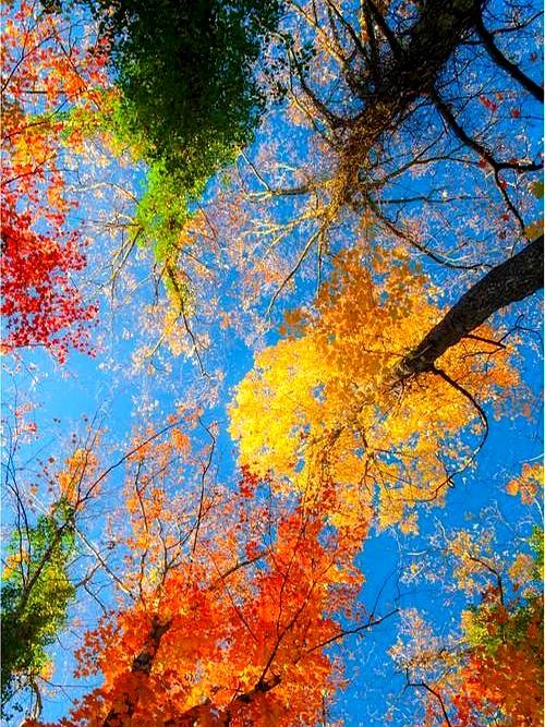 越练越感受到，老师安排几个功法的精妙。
 

北医三院的那个博士大夫总把调理过的