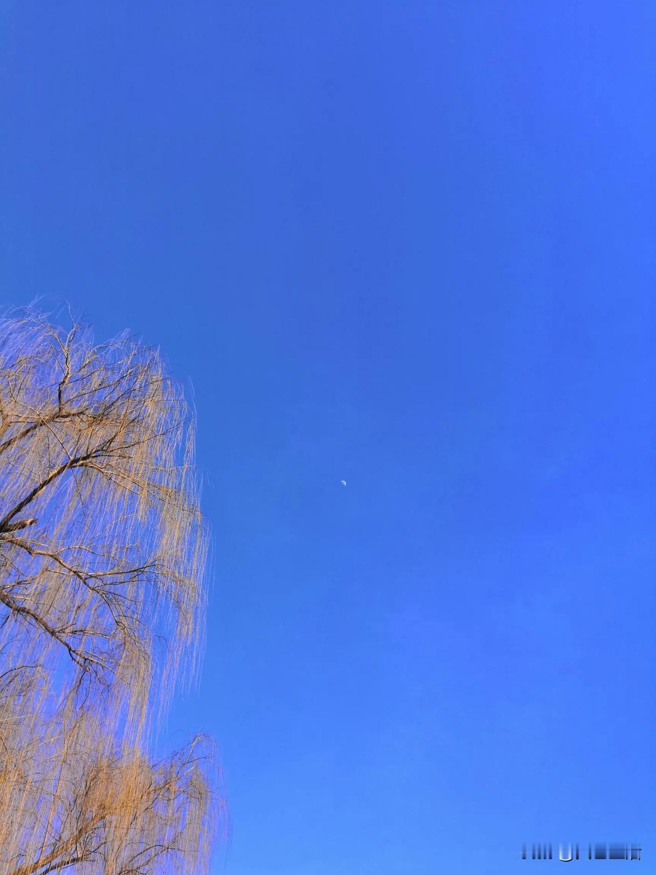 《句》
宋•雷庵正受
千山同一月，万户尽皆春。千江有水千江月，万里无云万里天。