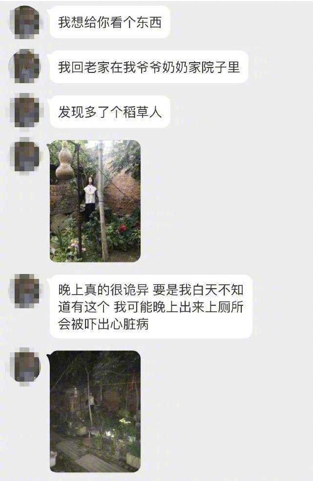 回老家发现爷爷家的院子里多了个稻草人！ [衰] 