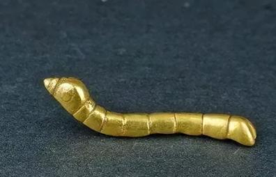 1984年，陕西一小孩在河滩边玩耍，突然捡到一只金光闪闪的小虫子，觉得好玩便放进