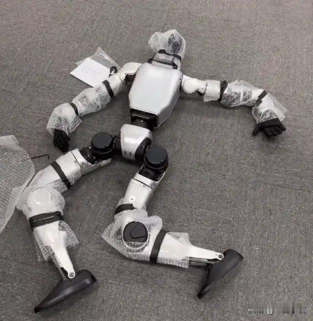 这样的机器人20多万，你会买一个吗？现在的机器人除了表演节目之外还干不了什么事，