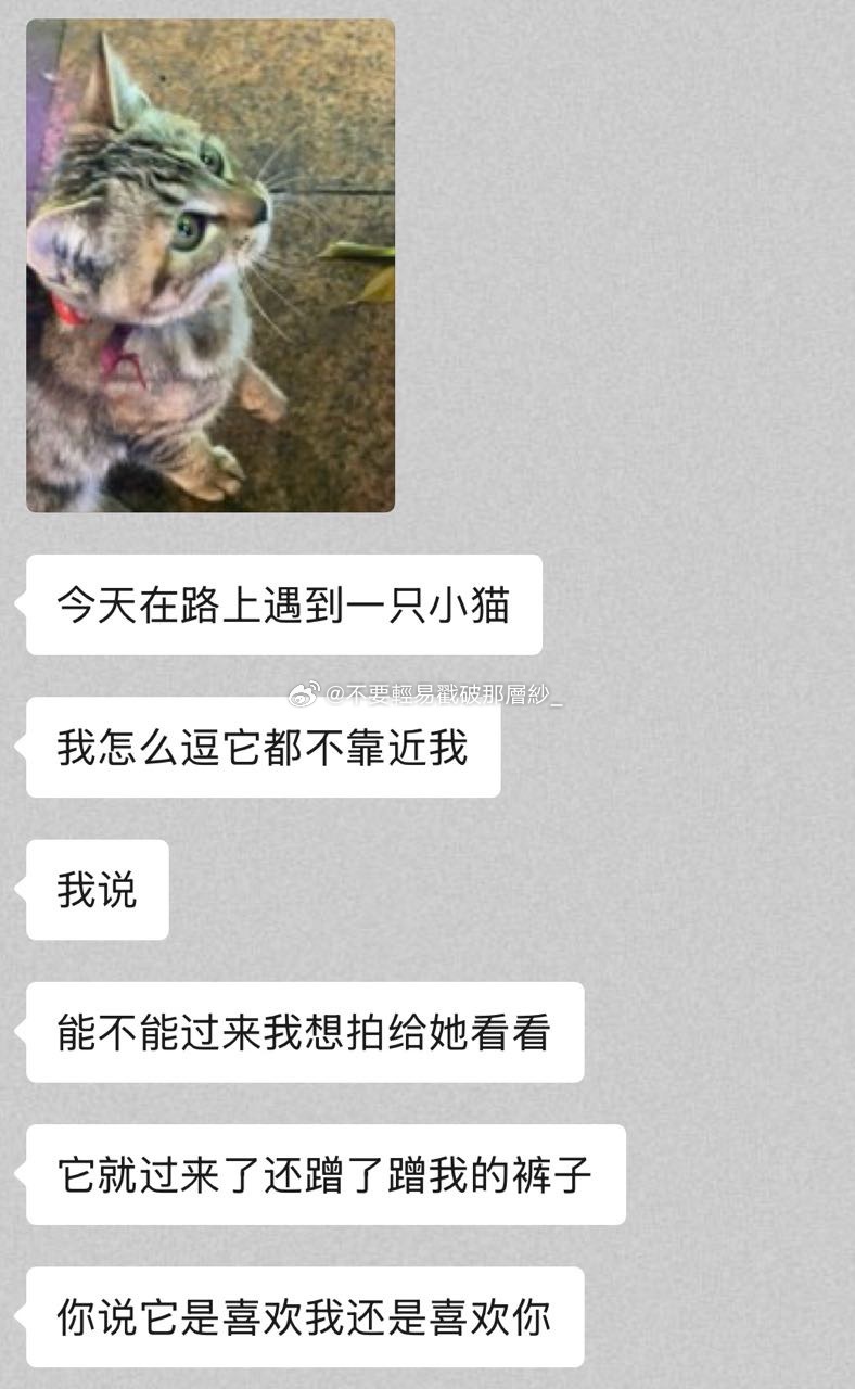 21521很down的一段时间被xxd拯救了 