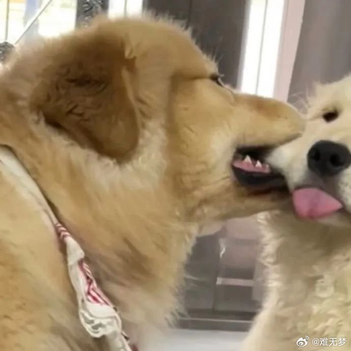 除了自身的病患或亲友离去的痛苦是真实的，其他的痛苦都是你自己的价值观带给你的。 