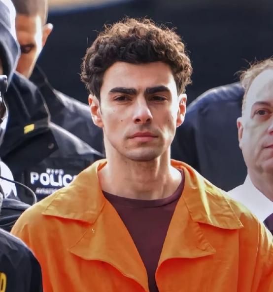 路易吉的判决通告，给所有美资本家都上了一课，他当街枪杀美国保险CEO行为，构不成