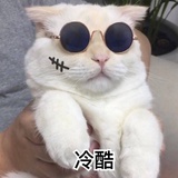 火顺逛逛体育