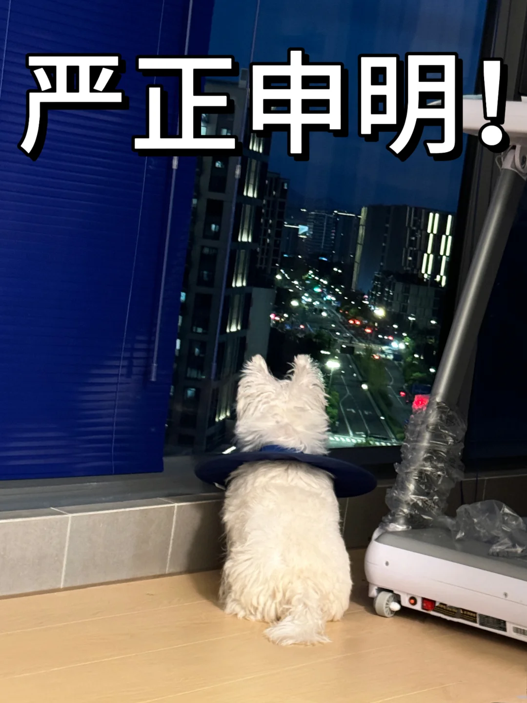 私信每天都要炸了！ 有些无良的人 盗我图到不良的网站上还知道要换脸 知...
