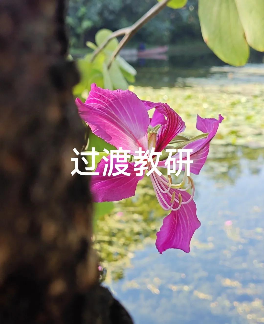 给各位教研员提几点建议。第一，每学期大型教研活动不能超过两次，超过两次去的人会越