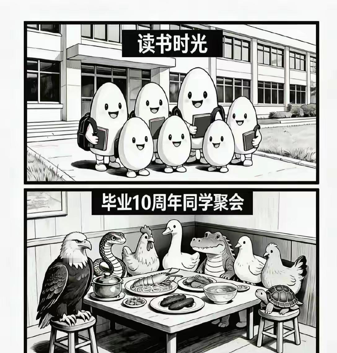 读书是相对最公平的