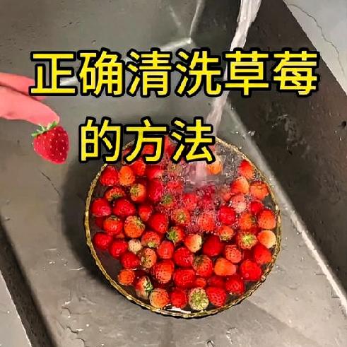 你有什么清洗草莓的小妙招吗清洗草莓的核心是轻柔操作+去残留，避免损伤果肉和流失营