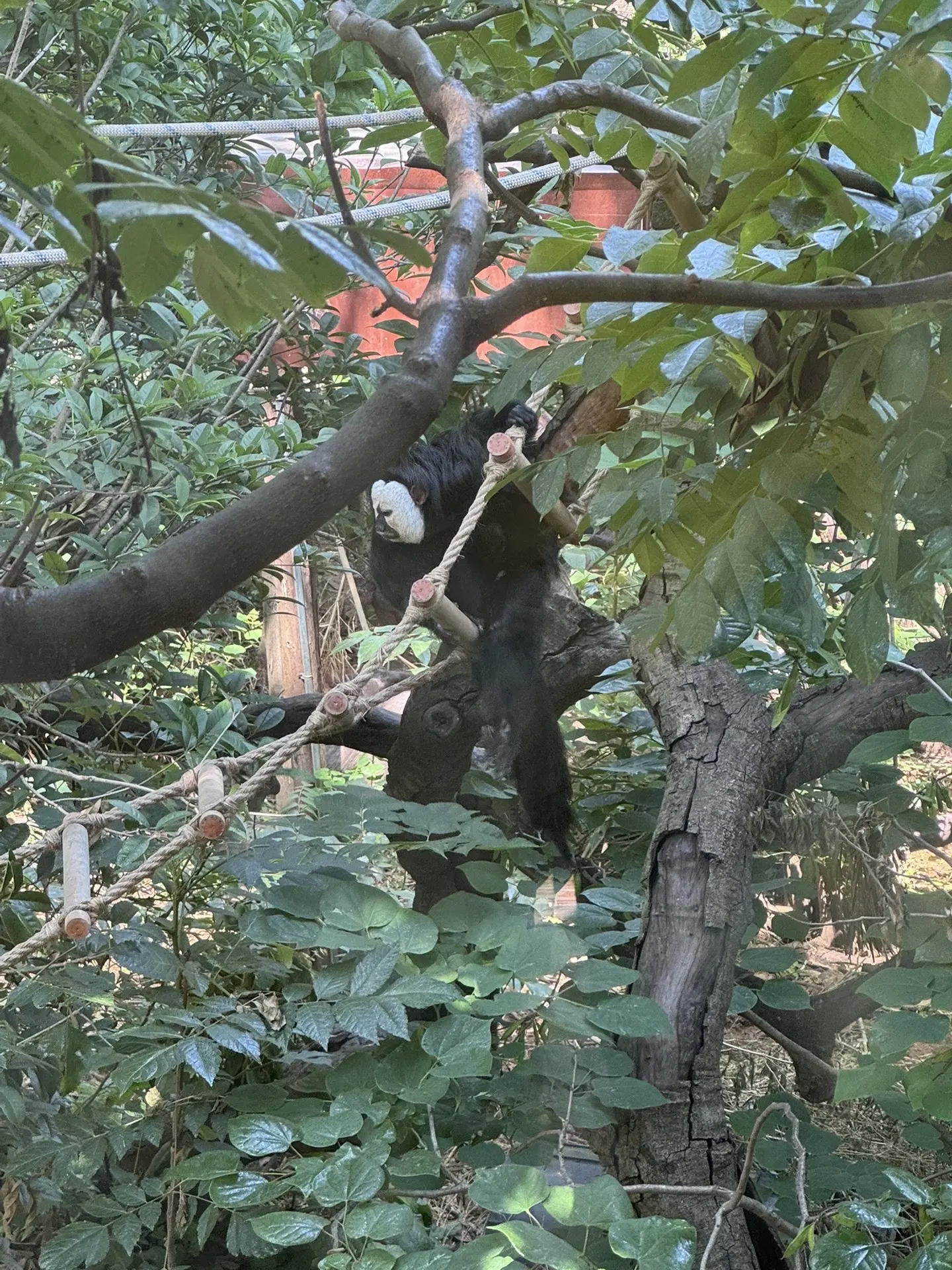最著名的那个男人…