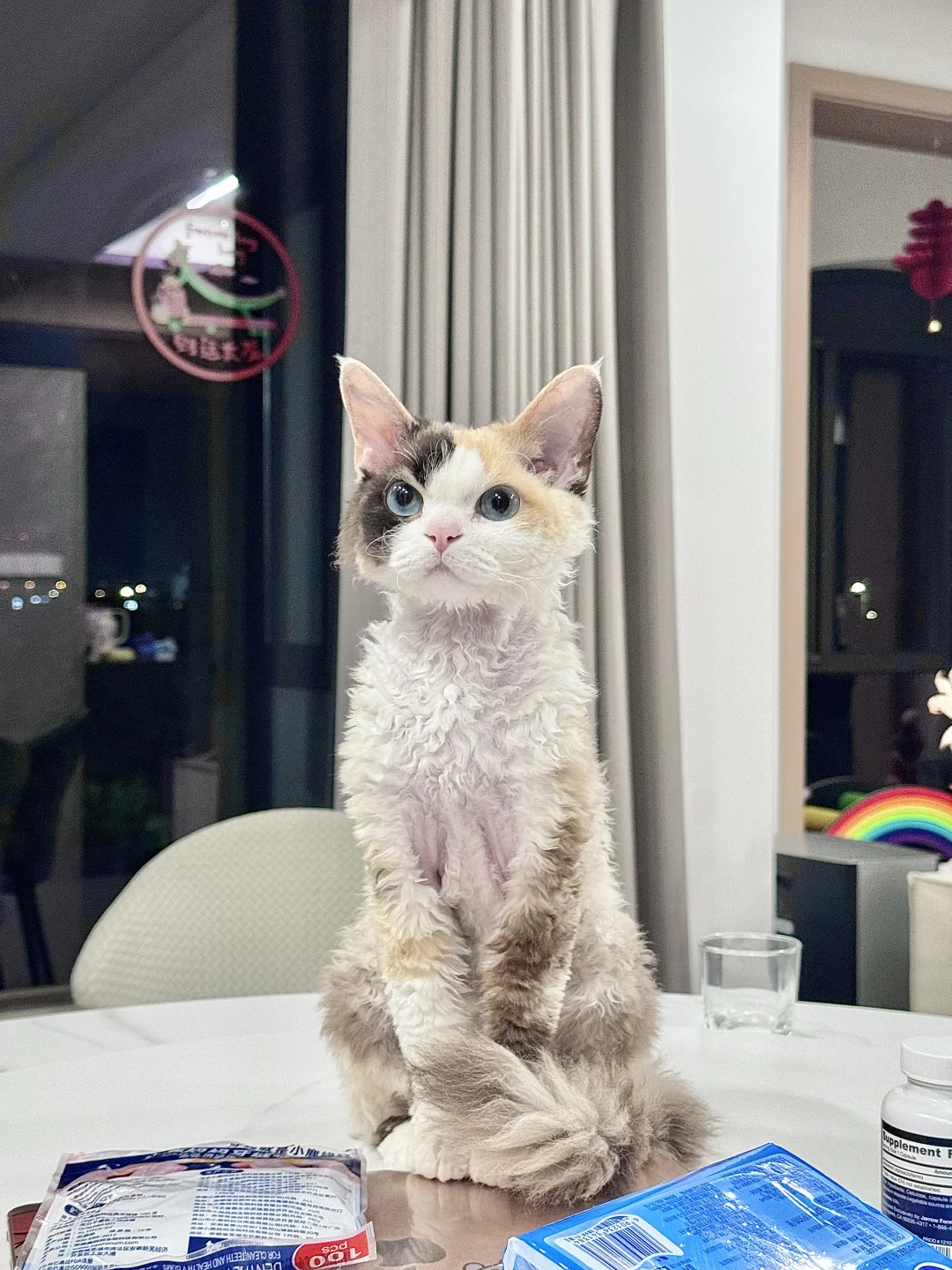 抢到了Reallycat新款摇粒绒