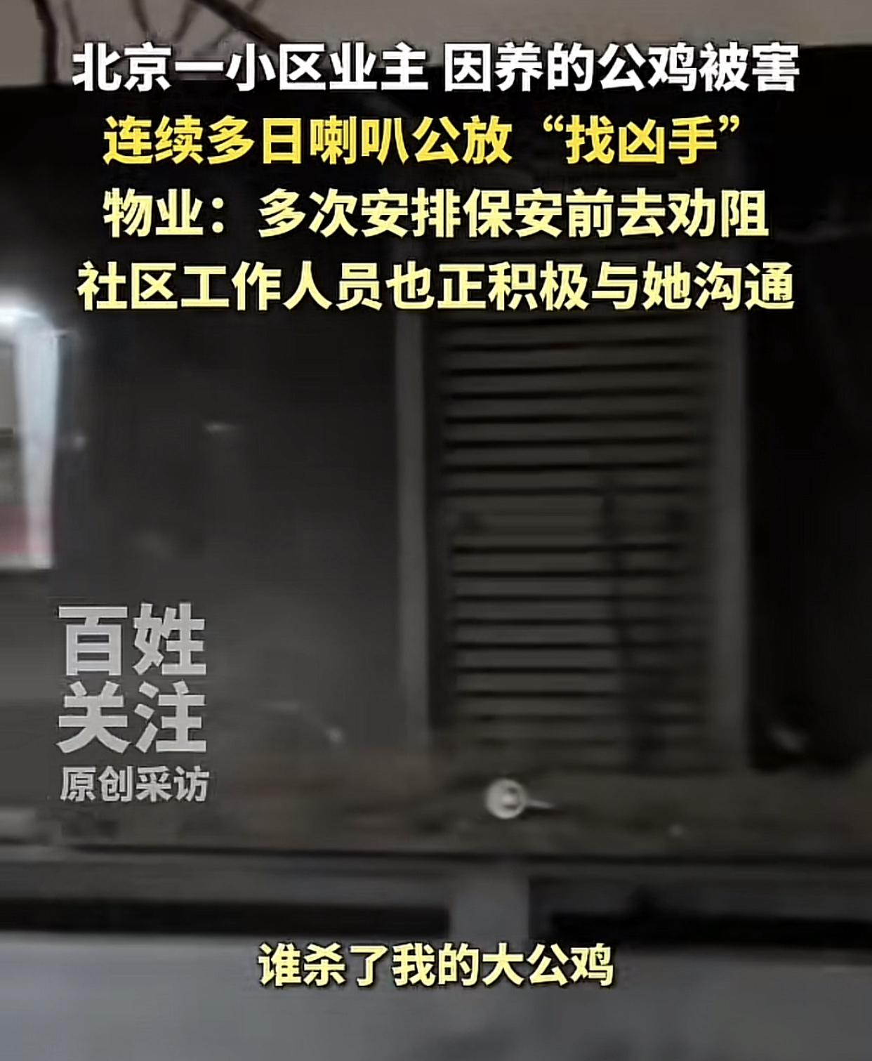 谁能想到，一只大公鸡竟让整个小区的房价都掉了下来。这事儿发生在北京次渠嘉园，这小