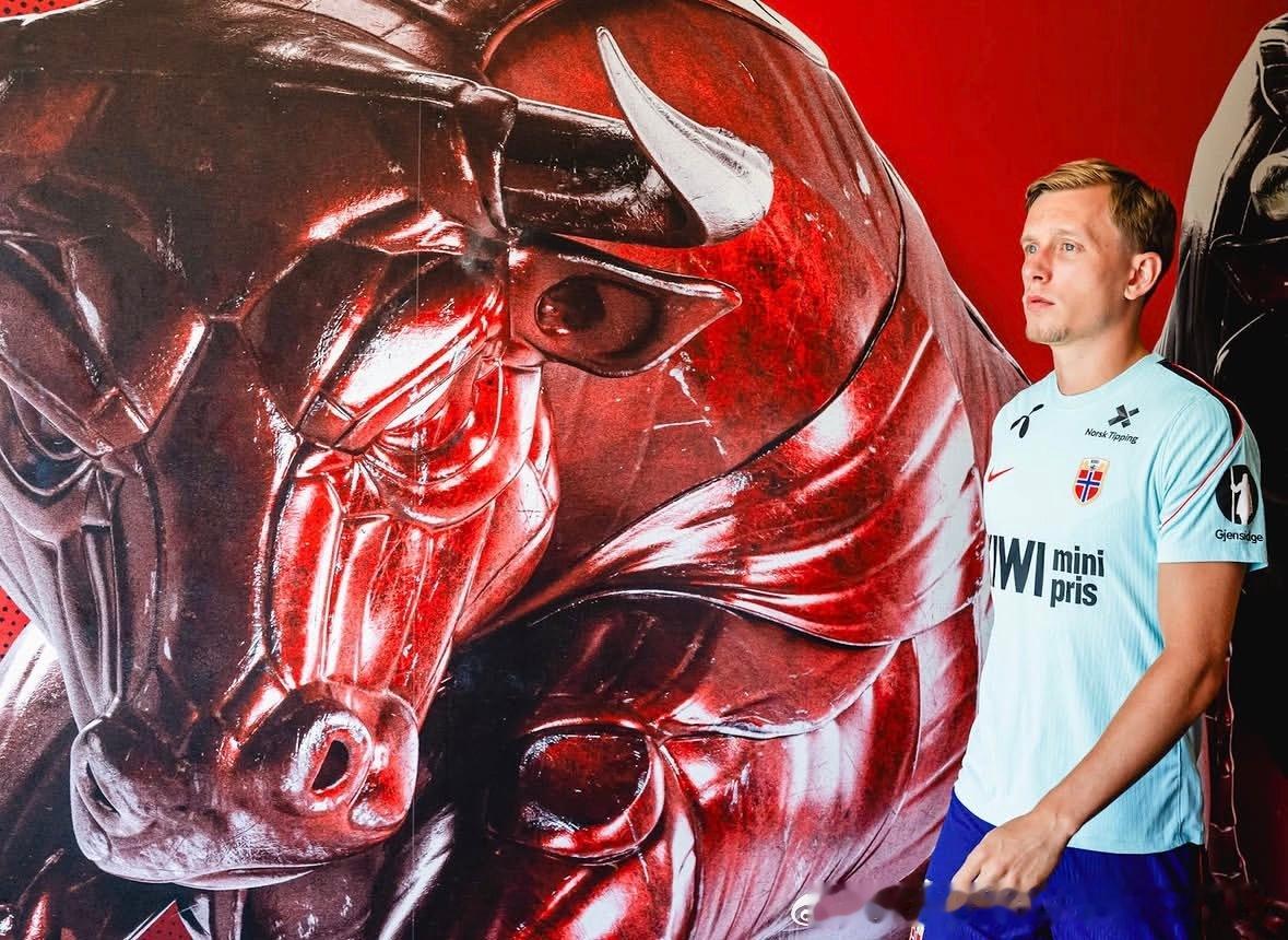 挪威🇳🇴2:1巴西🇧🇷！！马库斯.彼得森给牛牛沾光呢🐂Torino F
