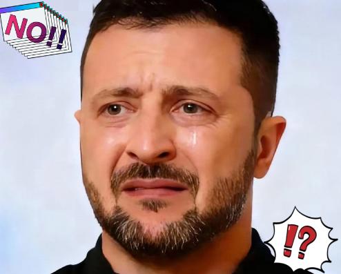 泽连斯基宣布
12月2日，乌克兰总统泽连斯基亲口宣布：乌美代表团就“领土问题”一