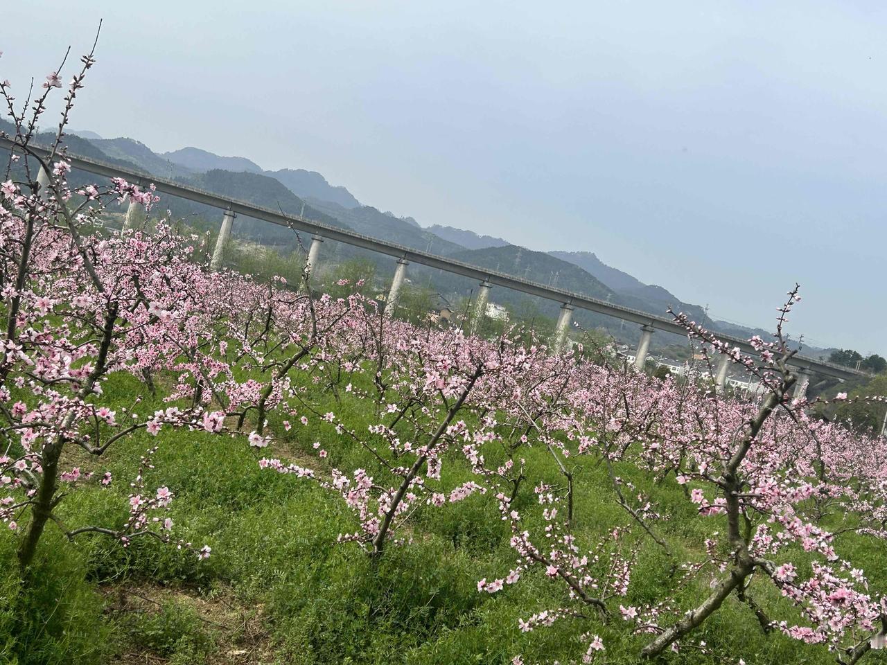 女人在婚姻中怎么保护自己
咱们不扯什么“为家庭牺牲”的大道理，就说说实实在在怎么