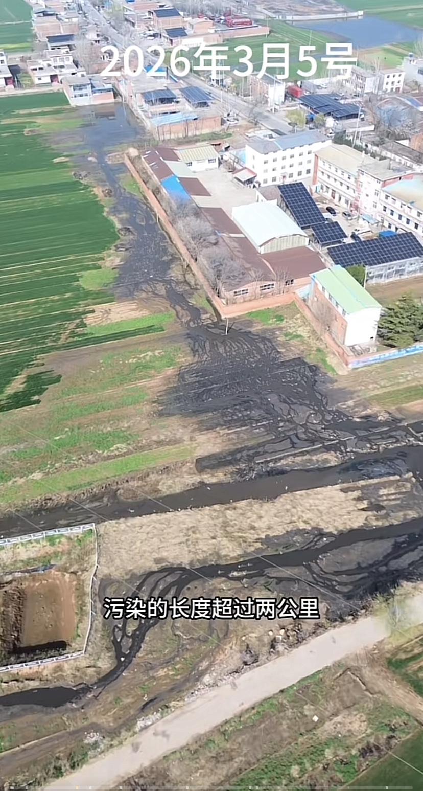 地方有环保问题，找齐哥确实有效果！

3月5日曝光的河南平顶山汝州杨楼镇污染的事