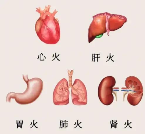 身体五脏有火，嘴巴先知！今天，我们将为大家分享如何通过嘴巴观察五脏之火，并介绍五