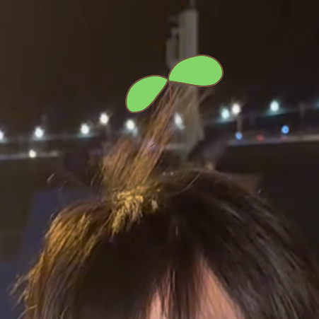 震惊！厦门icon 狐头上居然长草🫨 ​​​