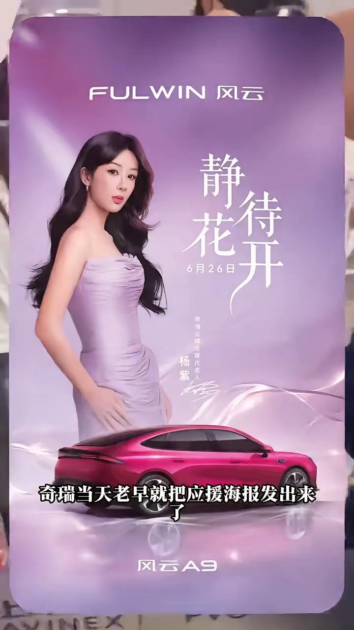 奇瑞是有眼光的。杨紫得了奖，奇瑞老板比杨紫本人还高兴。