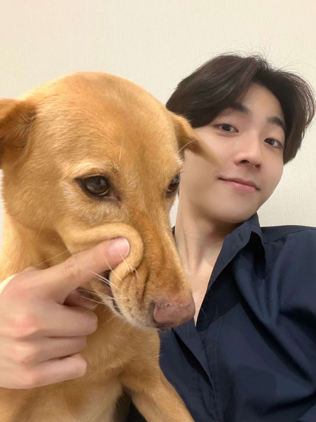 陈立农青春为名全球巡回演唱会 陈立农 七稔逐梦踏歌撷光 我和你之间不要相交线，平