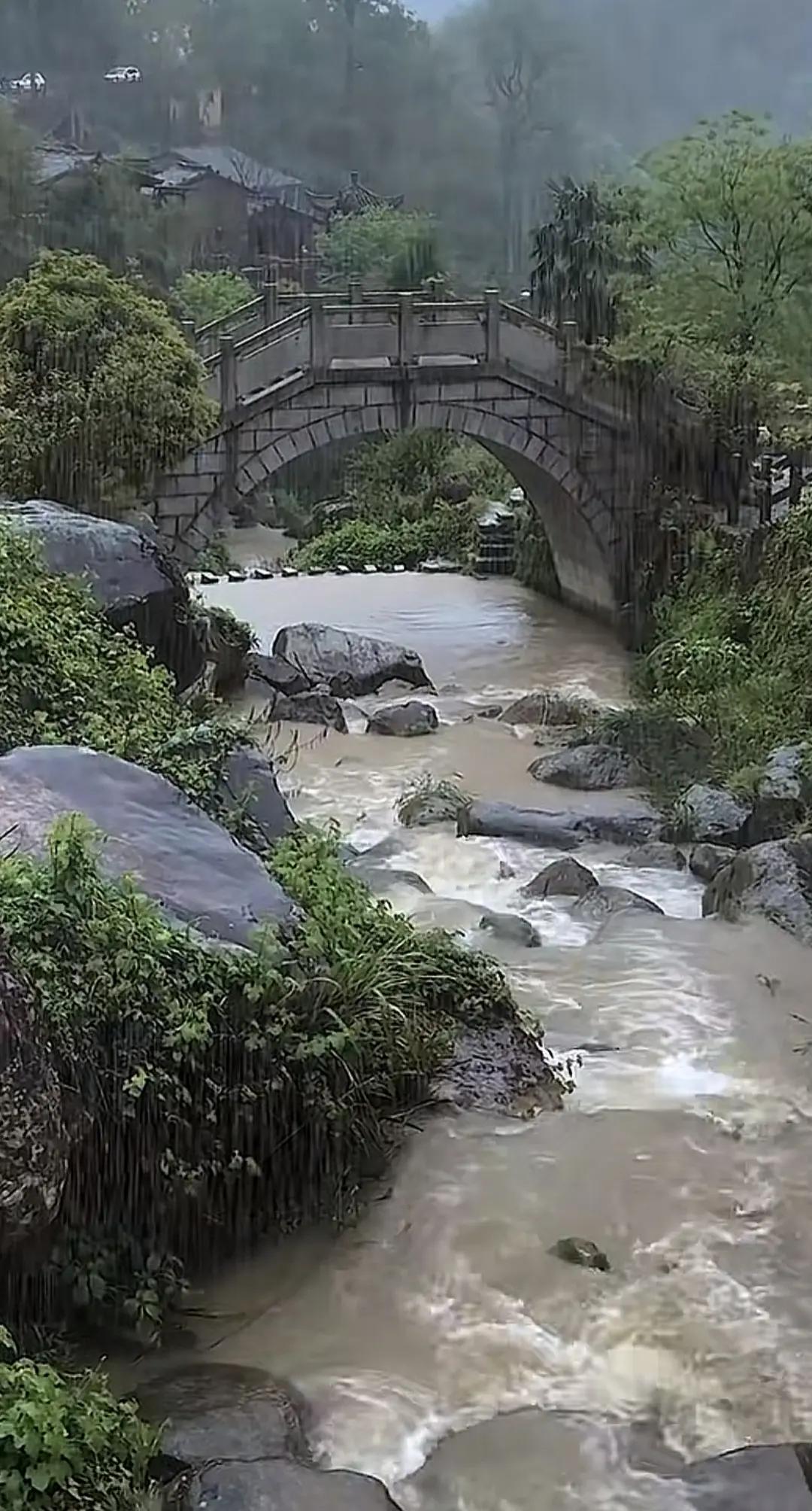 山涧奔涌，石桥静卧，雾霭轻笼如水墨晕染。自然奇观难得一见美在山水间 🌿🌉  