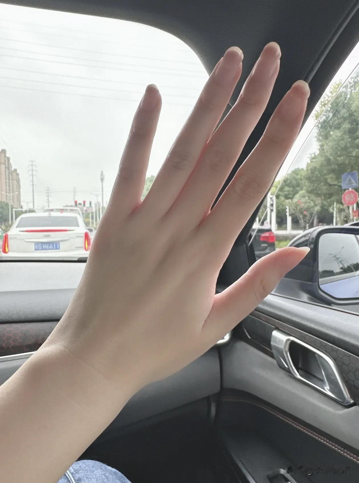 美