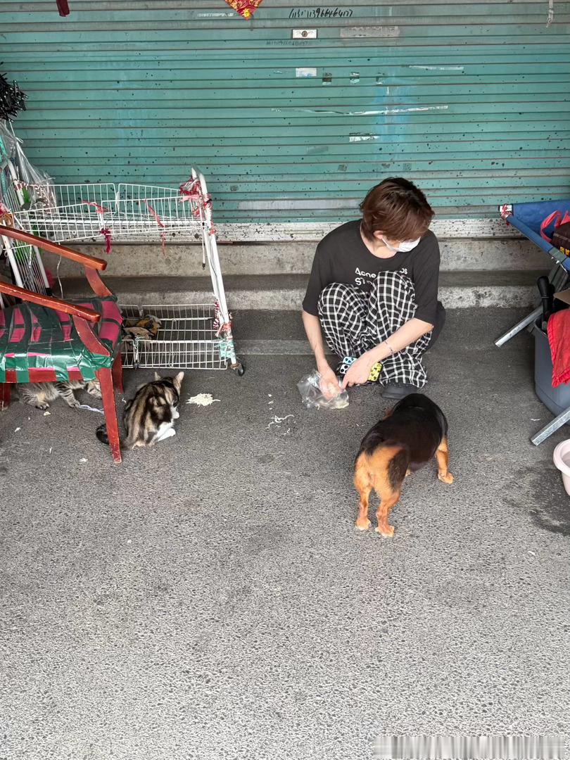 告诉你们什么叫p人。早上出门买个鸡炖汤，结果楼下超市关门了。我想那干脆回淮南吃牛