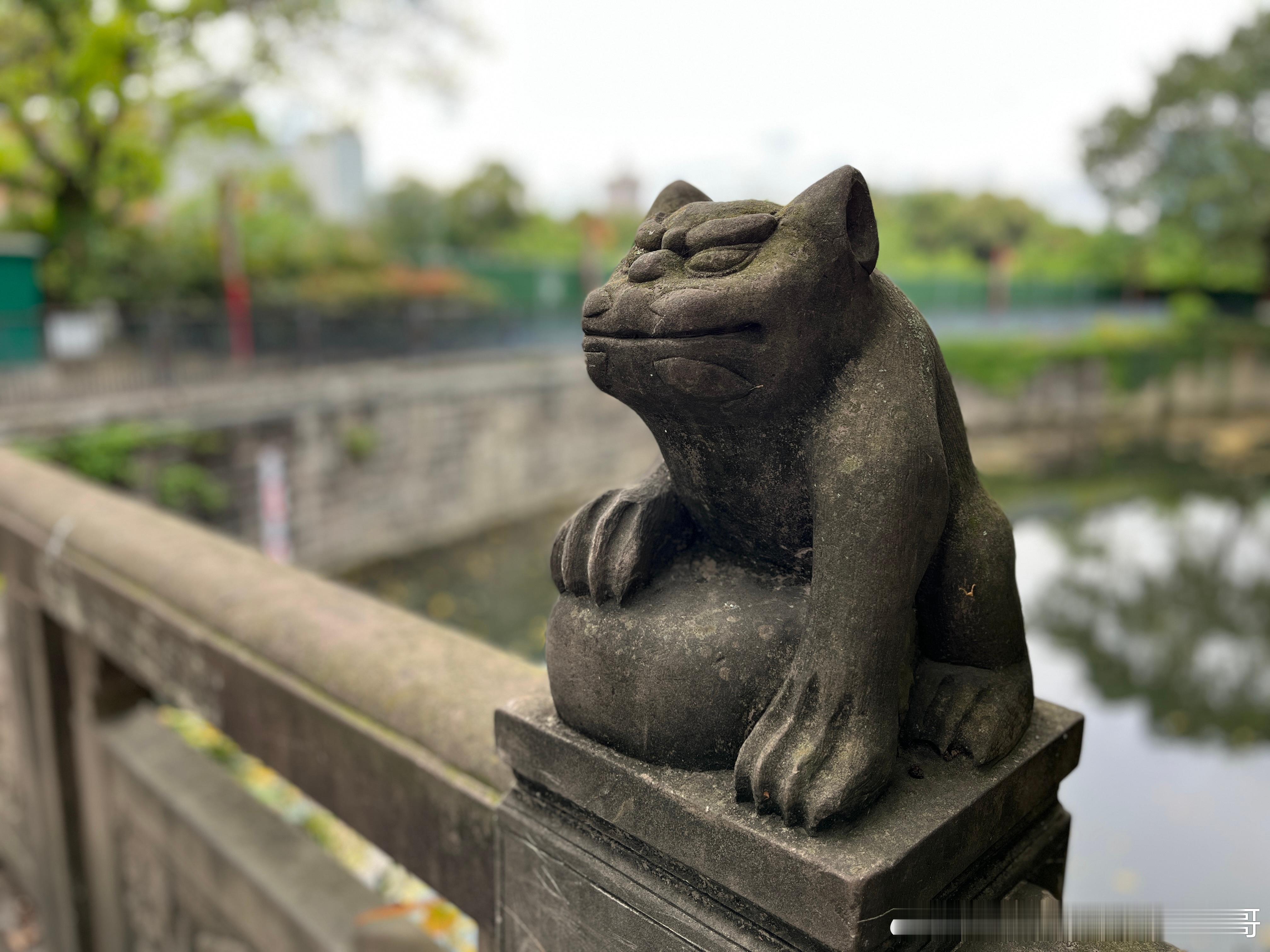 贾跃亭宣布转战机器人业务号召什么，就做什么。这就是立场正确。或者是上面有人。反正