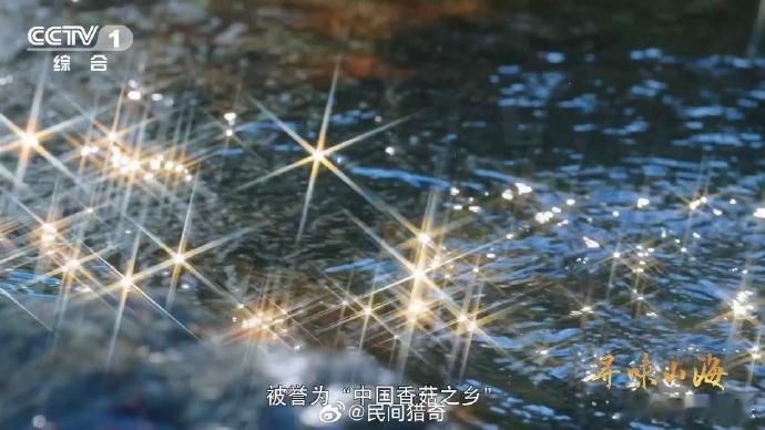 干香菇鲜香菇哪个更好吃一种花菇可以有两种味道 花菇也太有性格了吧！鲜的带着山野的